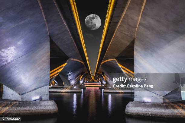 artistic view of bridge with full moon. - caroline pang stockfoto's en -beelden
