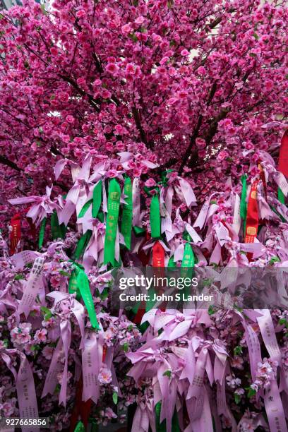 Wishing Tree at Man Mo Temple Hong Kong - Man Mo Temple Hong Kong - Man Mo Temple or Man Mo Miu is a temple in Hong Kong that reveres both the God of...