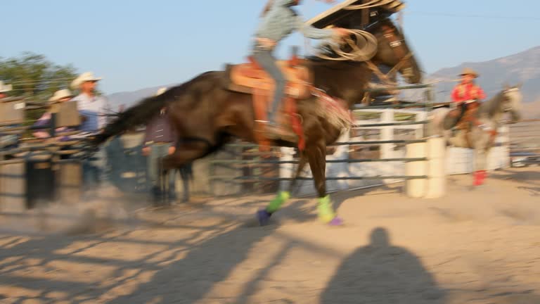101 Steer Roping Stock Videos, Footage, & 4K Video Clips - Getty Images