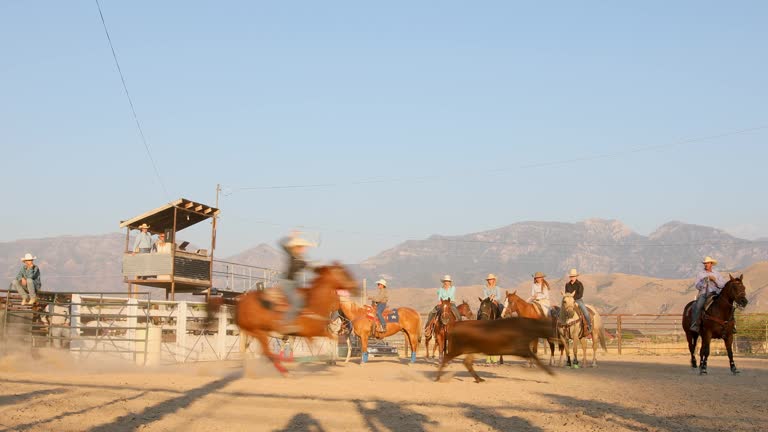 101 Steer Roping Stock Videos, Footage, & 4K Video Clips - Getty Images