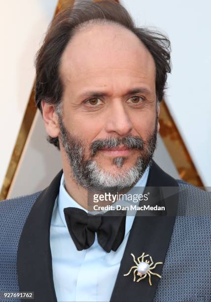 Director Luca Guadagnino attends the 90th Annual Academy Awards at Hollywood & Highland Center on March 4, 2018 in Hollywood, California.