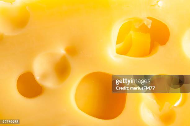 photo of yellow cheese with holes - ost bildbanksfoton och bilder