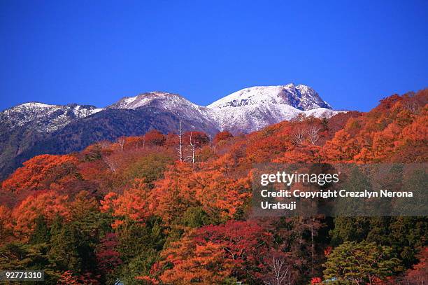 autumn view - nikko stock-fotos und bilder