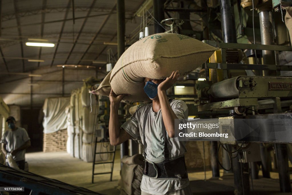 Coffee Operations In The Largest Coffee-Growing State In Brazil