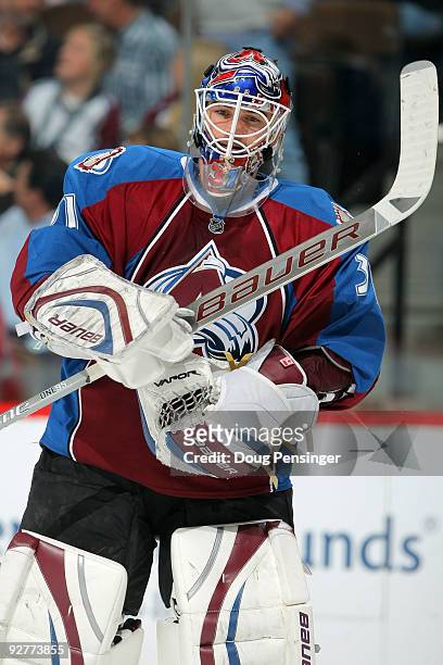 Goalie Peter Budaj of the Colorado Avalanche looks on during a break in the action against the Phoenix Coyotes at the Pepsi Center on November 4,...