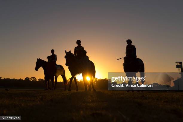 Mark Zahra riding Merchant Navy after a trackwork session at Sandown Lakeside on March 6, 2018 in Melbourne, Australia. Merchant Navy is favourite...