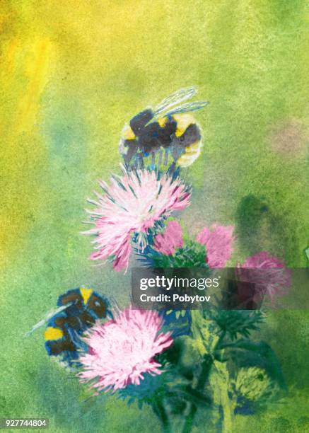 bumblebees on flowers watercolor - bumblebee stock illustrations