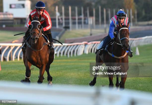 Mark Zahra riding Merchant Navy during a trackwork session at Sandown Lakeside on March 6, 2018 in Melbourne, Australia. Merchant Navy is favourite...