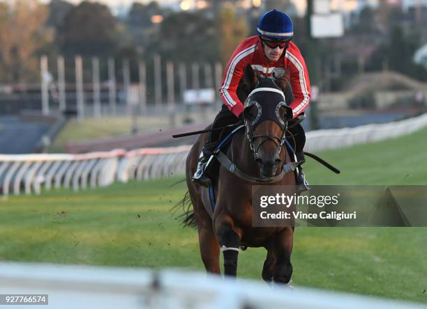 Mark Zahra riding Merchant Navy during a trackwork session at Sandown Lakeside on March 6, 2018 in Melbourne, Australia. Merchant Navy is favourite...