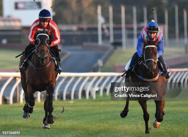 Mark Zahra riding Merchant Navy during a trackwork session at Sandown Lakeside on March 6, 2018 in Melbourne, Australia. Merchant Navy is favourite...