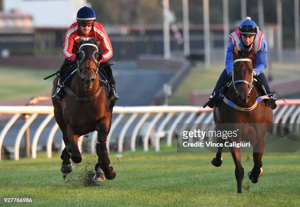 Mark Zahra riding Merchant Navy during a trackwork session at Sandown Lakeside on March 6, 2018 in Melbourne, Australia. Merchant Navy is favourite...