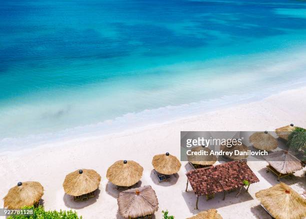 ombrelloni di paglia e oceano blu. scena sulla spiaggia dall'alto - bali foto e immagini stock