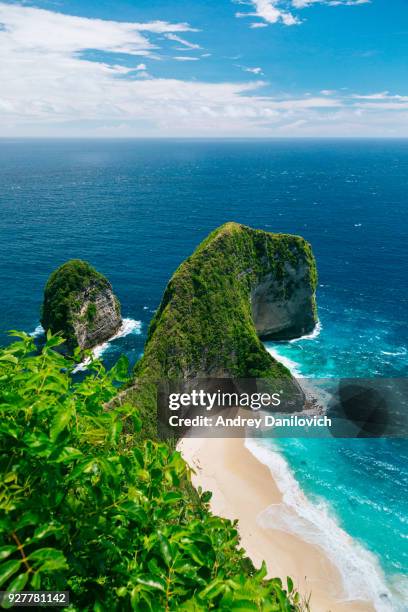 kelingking playa, nusa penida - bali fotografías e imágenes de stock