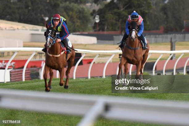 Billy Owen riding Single Gaze during a trackwork session at Sandown Lakeside on March 6, 2018 in Melbourne, Australia. Single Gaze will be racing in...