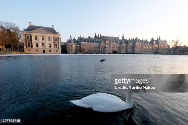 Swan floats in the partially frozen Hofvijver, or 'Court Pond' in front of Mauritshuis museum and Binnenhof on February 28 in The Hague, Netherlands.