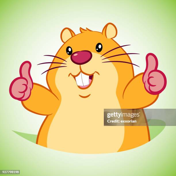 stockillustraties, clipart, cartoons en iconen met cartoon marmot voor happy groundhog day - hamster