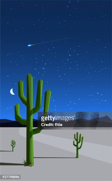 stockillustraties, clipart, cartoons en iconen met woestijn nacht landschap, nachtopname - sandstone