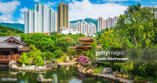 idyllic park tradtional tea house pagodas skyscrapers hong kong china - san po kong stock pictures, royalty-free photos & images