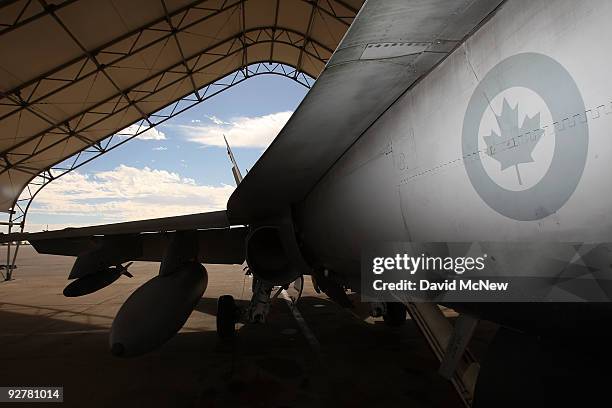 Hornet fighter jet belonging to the Canadian 410 'Couger' Squadron is seen on the tarmac at Naval Air Facility El Centro on November 4, 2009 near El...