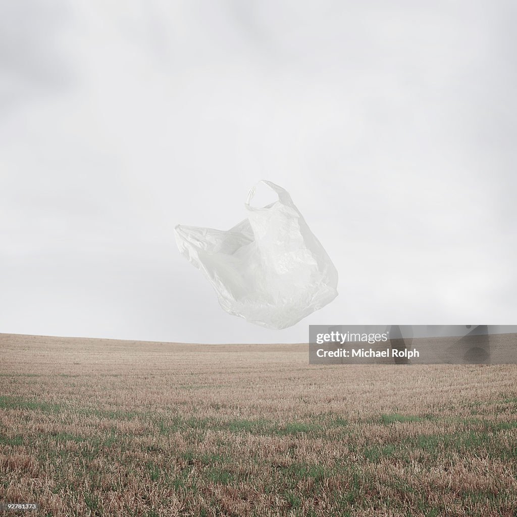 Plastic Bag Blowing in the Wind