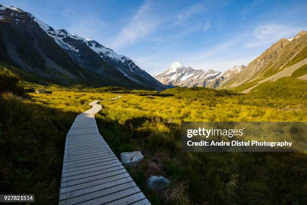 mt cook national park - new zealand - gletscher stockfoto's en -beelden