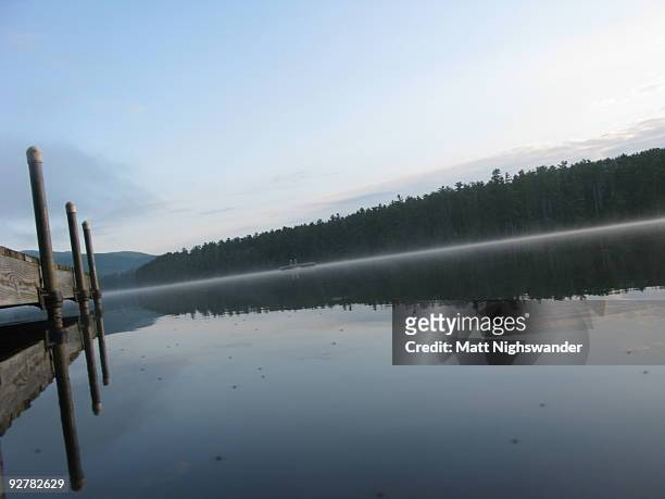 lake chocorua, new hampshire - belostomatidae stock pictures, royalty-free photos & images