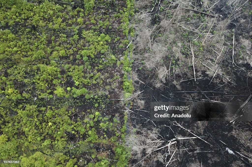 Forest destruction at the Rawa Singkil Wildlife Reserve in Aceh