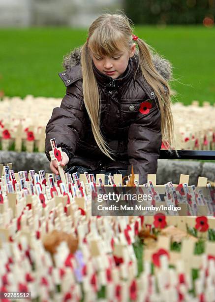 Year old Paygan Aston places a remembrance cross and poppy, in memory of her father Russell Aston, a member of the Royal Military Police who was...