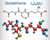Glutathione (GSH) molecule, is an important antioxidant in plants, animals and some bacteria. Structural chemical formula and molecule model