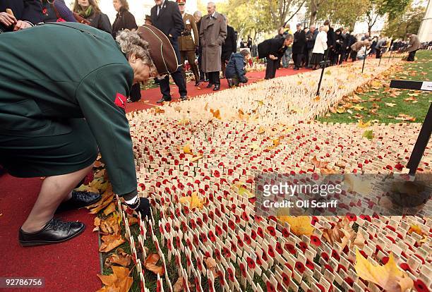 Remembrance crosses are planted outside Westminster Abbey at the official opening of the Royal British Legion's Field of Remembrance on November 5,...