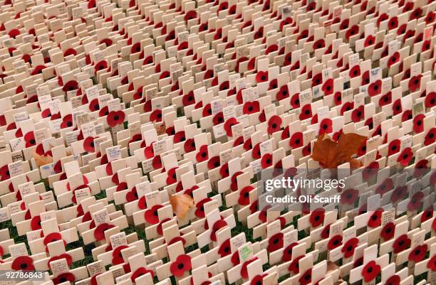 Remembrance crosses are planted outside Westminster Abbey at the official opening of the Royal British Legion's Field of Remembrance on November 5,...