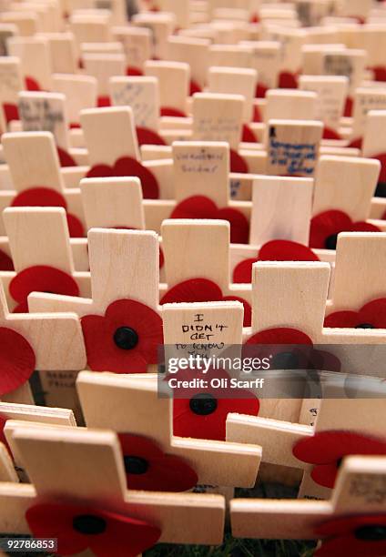 Remembrance crosses are planted outside Westminster Abbey at the official opening of the Royal British Legion's Field of Remembrance on November 5,...