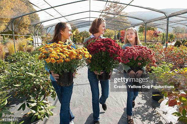 family at garden center - manchester vermont foto e immagini stock