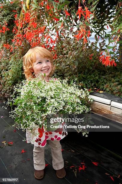 toddler holding plant in greenhouse - new england conservatory stock pictures, royalty-free photos & images