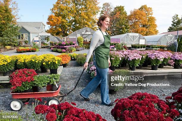 garden center worker - manchester vermont foto e immagini stock