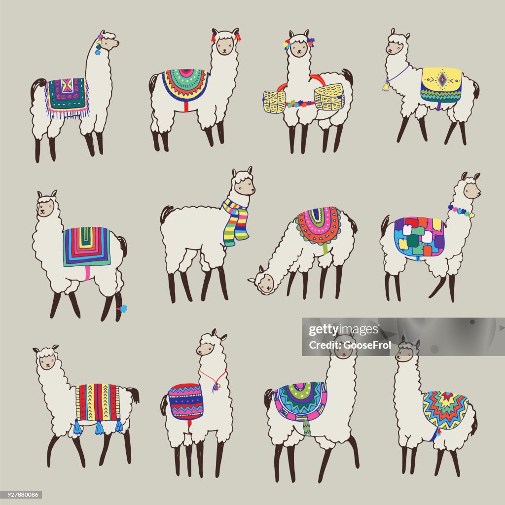 Computer Lama Vector Lama Animal Vector Illustrations Set High-Res Vector Graphic - Getty Images