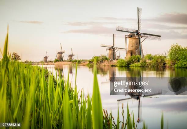 traditional dutch windmills at kinderdijk - water reflection stock pictures, royalty-free photos & images