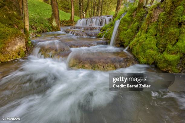 creek forming travertine terraces, biosphere reserve swabian alb, baden-wuerttemberg, germany - calcification stock pictures, royalty-free photos & images