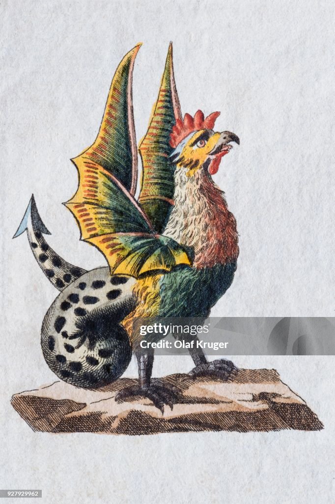 Basilisk, hand-colored copper engraving from childrens picture book by Friedrich Justin Bertuch, Weimar, 1792