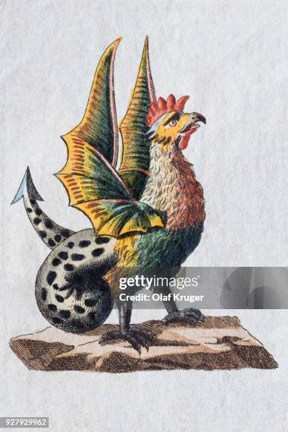 basilisk, hand-colored copper engraving from childrens picture book by friedrich justin bertuch, weimar, 1792 - mythology stock illustrations