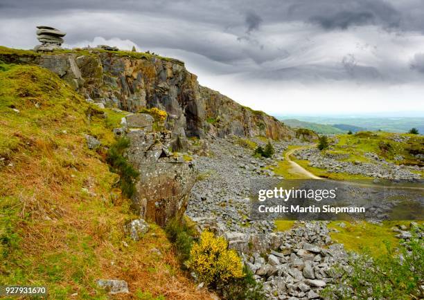 rock formation cheesewring, and granite quarry, stowes hill, at linkinhorne, bodmin moor, cornwall, england, united kingdom - bodmin moor imagens e fotografias de stock