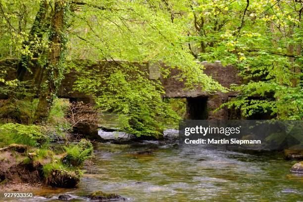 golitha falls, bridge over river fowey, near liskeard, bodmin moor, cornwall, england, united kingdom - bodmin moor stock pictures, royalty-free photos & images