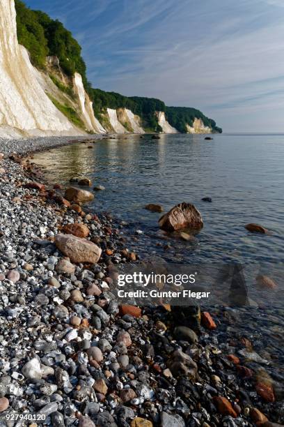 chalk coast, jasmund national park, jasmund peninsula, ruegen island, mecklenburg-vorpommern, germany - rügen island chalk cliffs stock-fotos und bilder