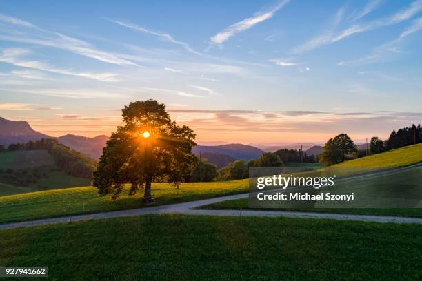 sunset, mountain landscape, challhoechi mountain pass, eptingen, canton basel-landschaft, switzerland - canton de bâle campagne photos et images de collection