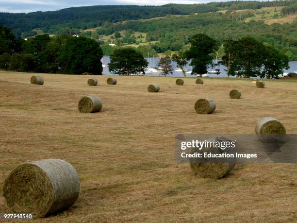 Round straw bales on field next to Coniston Water, The Lake District, Cumbria, UK.