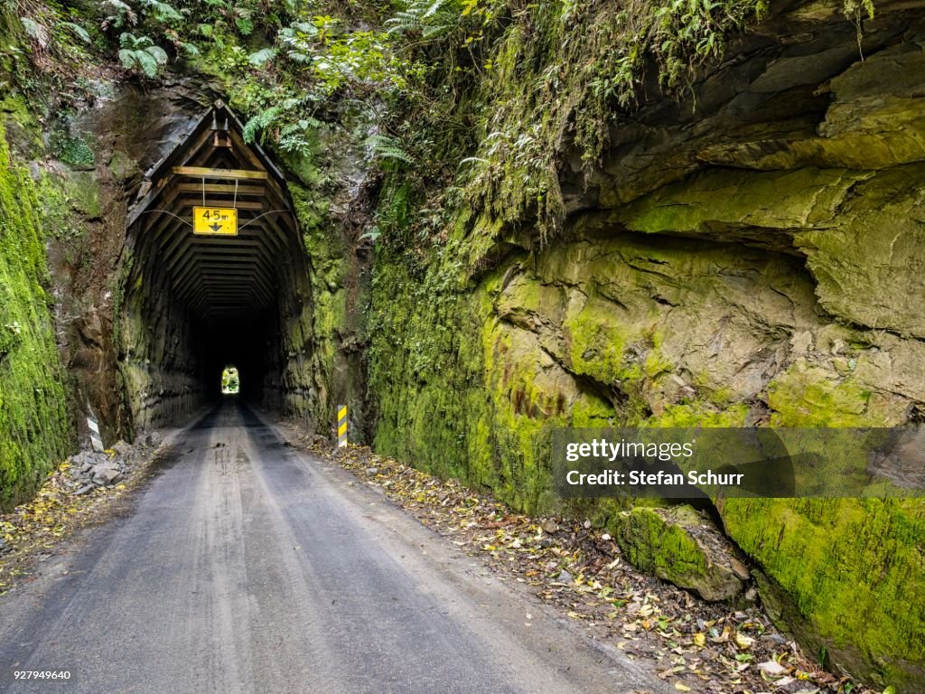 Tunnel, Forgotten World Highway, Taranaki Region, North Island, New Zealand