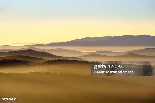 morning fog in sumava national park in czech republic, sumava, view from siebensteinkopf, near finsterau, bavarian forest, lower bavaria, bavaria, germany - sumava stock pictures, royalty-free photos & images