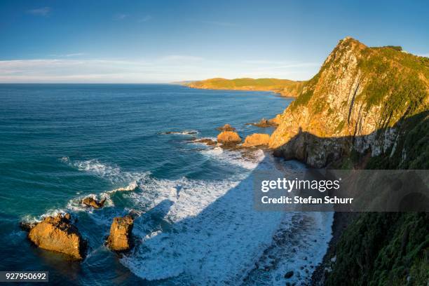 nugget point, catlins, southern scenic route, otago region, south island, new zealand - nugget point stock pictures, royalty-free photos & images