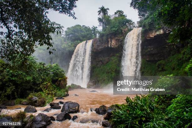 waterfalls adam and eve, iguazu falls, iguazu river, border between brazil and argentina, foz do iguacu, parana, brazil - adam biblical figure stock pictures, royalty-free photos & images