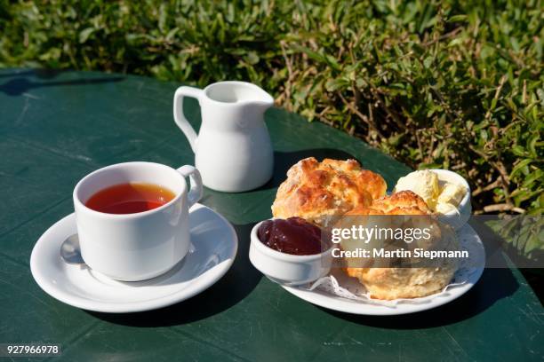 cornish cream tea, tea and scones and clotted cream, lizard point, cornwall, england, united kingdom - clotted cream stock pictures, royalty-free photos & images